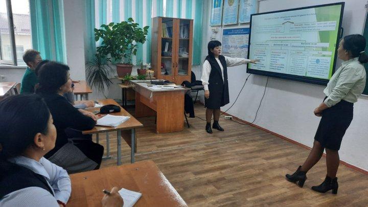 Педагогтардың оқыту тәжірибесін жетілдіру